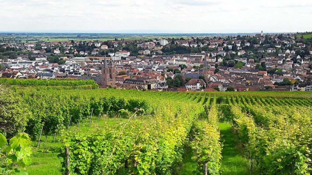 Neustadt an der Weinstraße