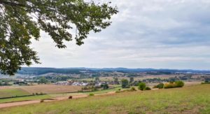 Otterbach in der Westpfalz