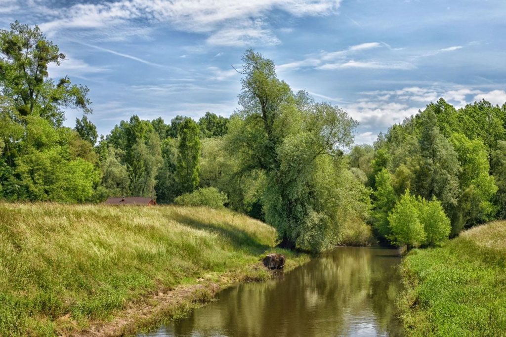 Rhein-Pfalz-Kreis