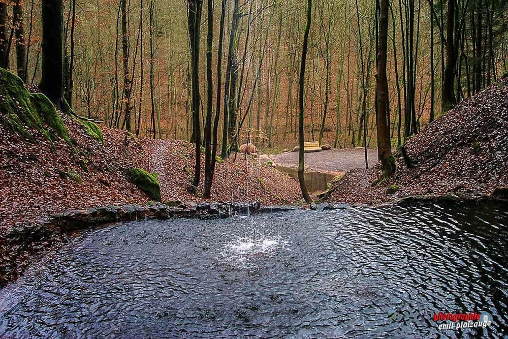 Wasserbecken bei der Bärenhöhle auf dem Rodalber Felsenweg