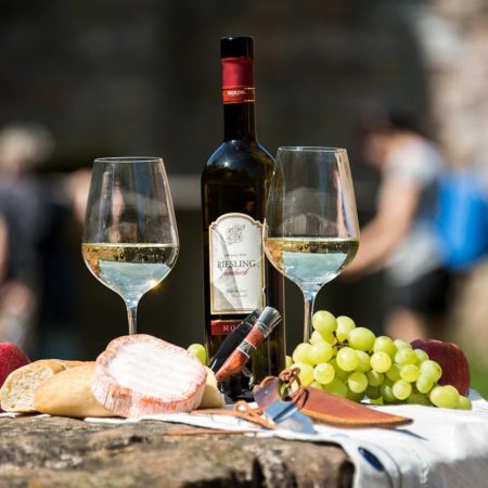 Weinwanderungen, Weinberggehungen, Terroirwanderungen in der Pfalz