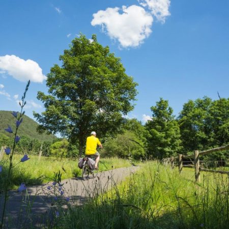 Radtouren, Fahrradfahren in der Westpfalz