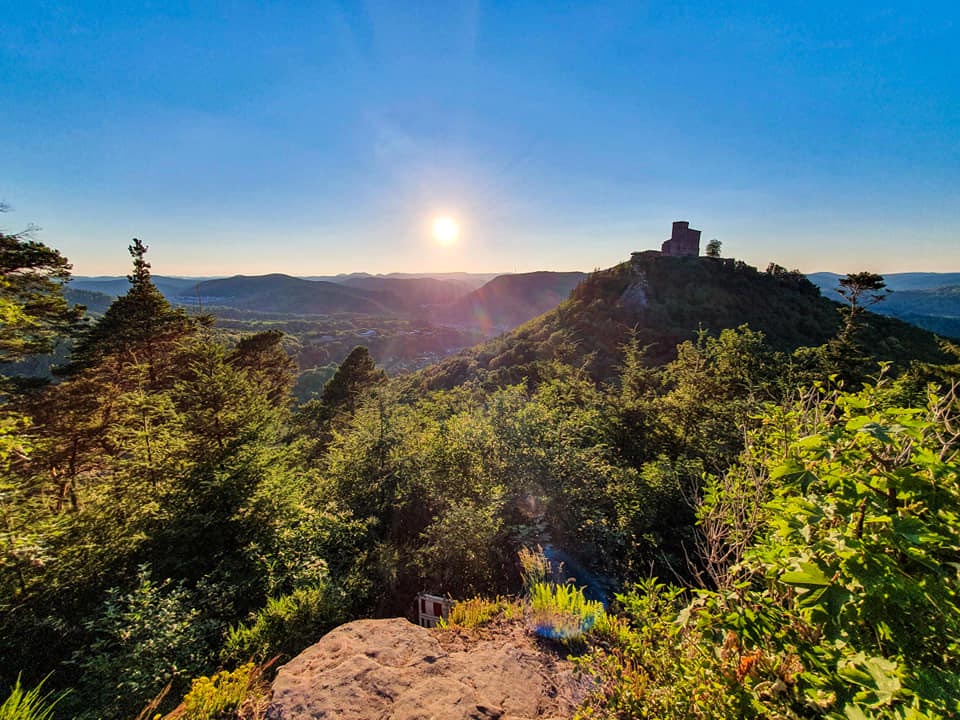 Burg Trifels in Annweiler - Foto: Patricia Flatow