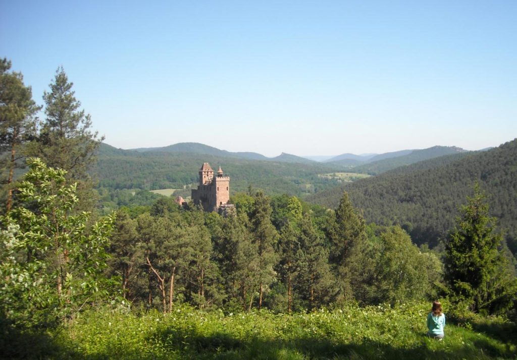 Ausblick Ferienwohnung Monte Noble auf Burg Berwartstein in Erlenbach bei Dahn