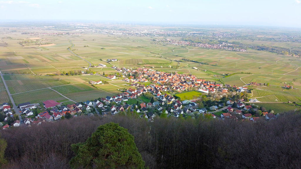 Frankweiler in der Pfalz
