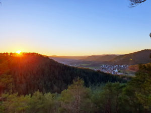Schindhard in der Pfalz bei Sonnenuntergang