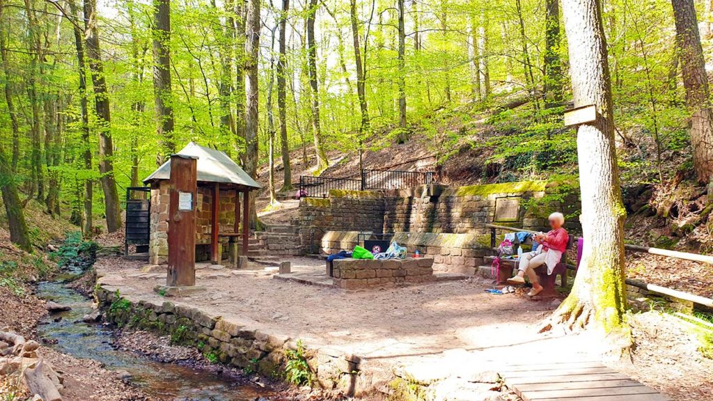 Walddusche in Gleisweiler