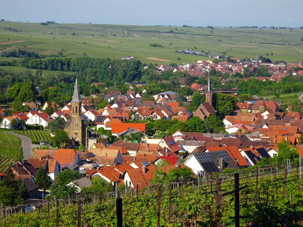 Birkweiler in der Pfalz
