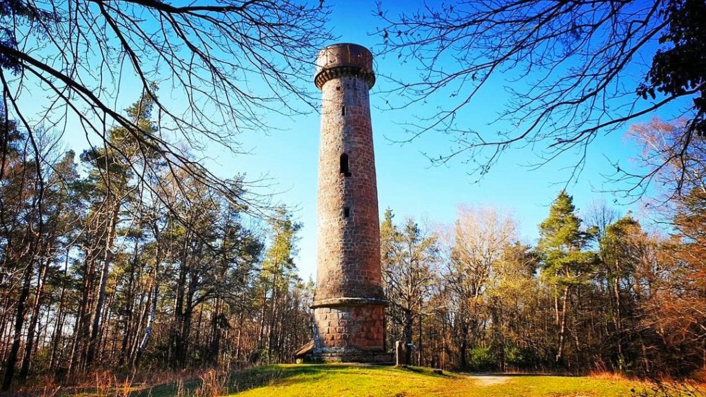 Der Ludwigsturm bei Rhodt unter Rietburg im Pfälzerwald