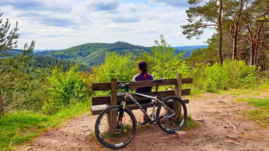 Mountainbiken im Pfälzerwald