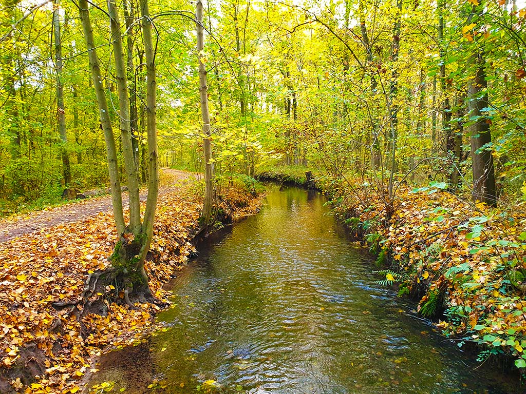 Spiegelbach - Ottersheim bei Landau in der Pfalz