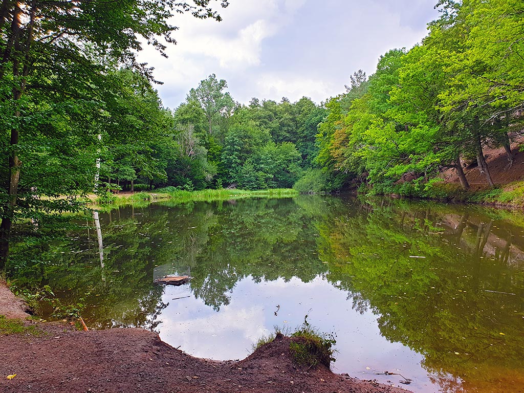 Der Schallbrunner Weiher zwischen Kaiserslautern und Mehlingen