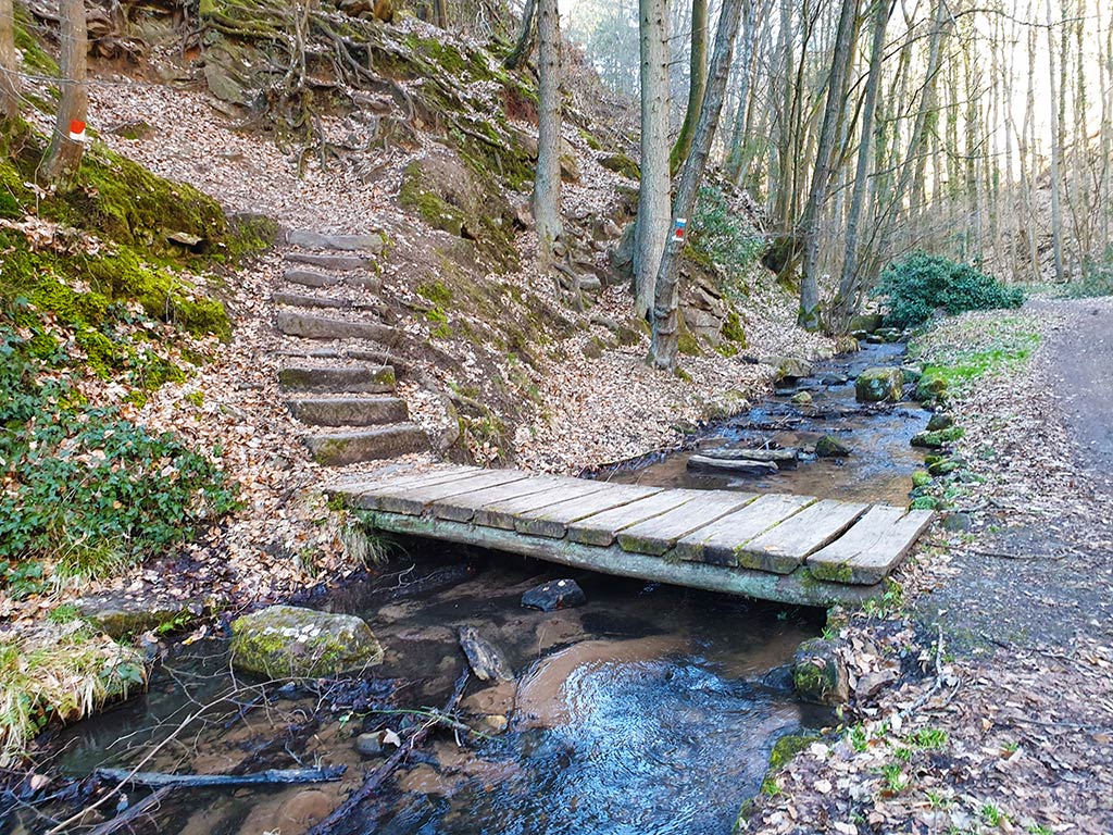 Wanderweg entlang des Mußbachs bei Gimmeldingen im Pfälzerwald