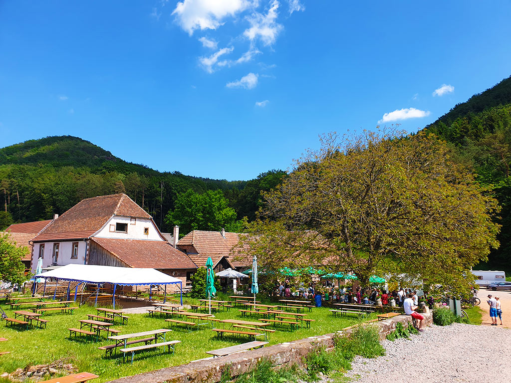 Der Bio-Gasthof Bärenbrunnerhof in Schindhard