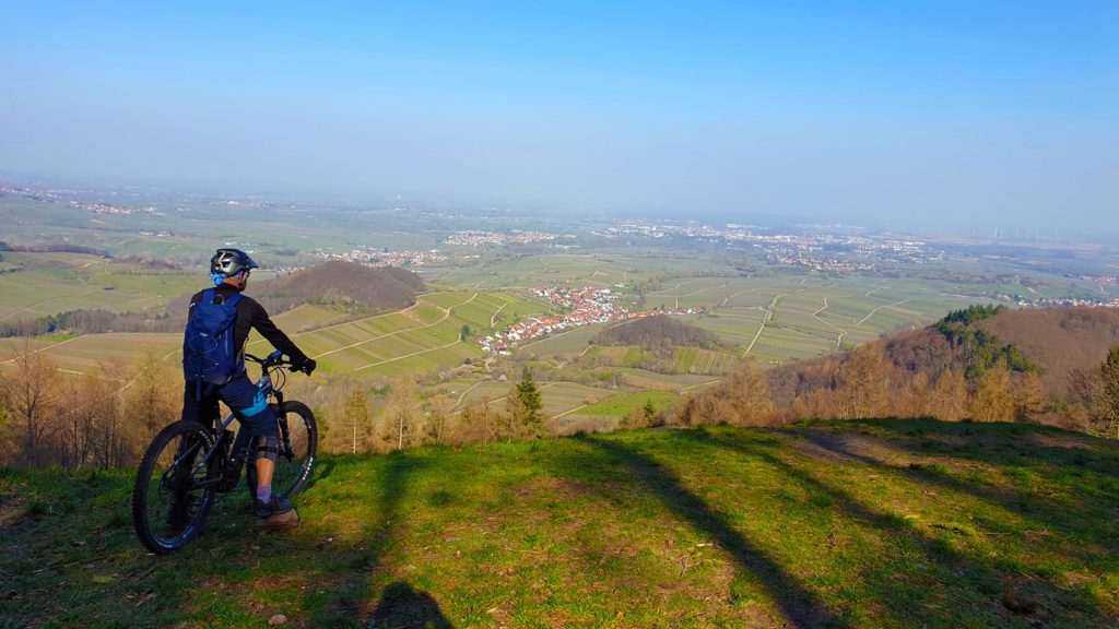 Mountainbiker blickt von Hügel auf grüne pfälzer Landschaft