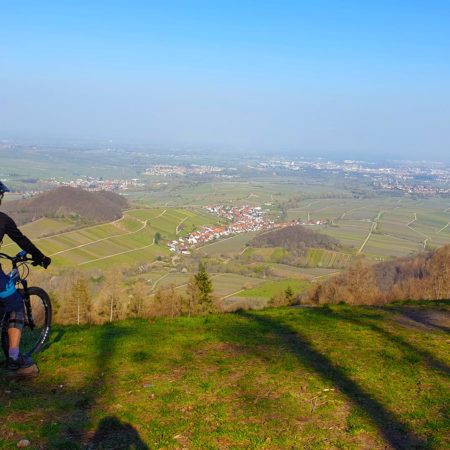 Mountainbiker blickt von Hügel auf grüne pfälzer Landschaft