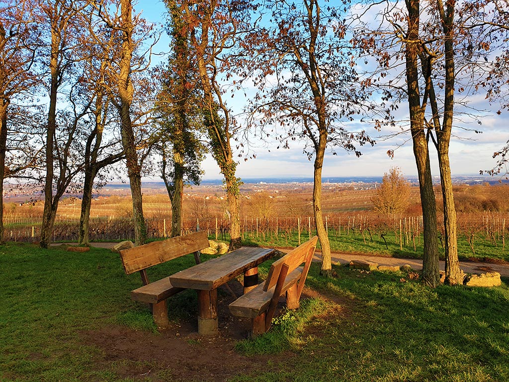 Arzheim - Landau in der Pfalz