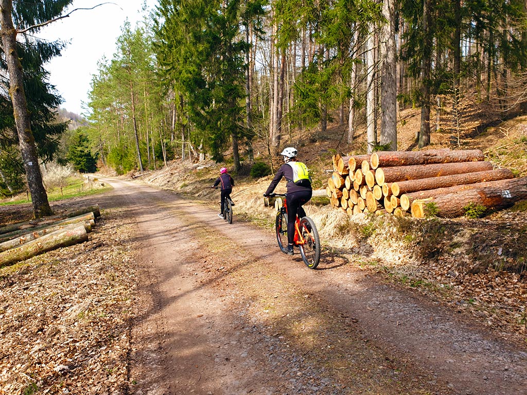 Mountainbiker auf dem Grenzweg bei Eppenbrunn im Pfälzerwald