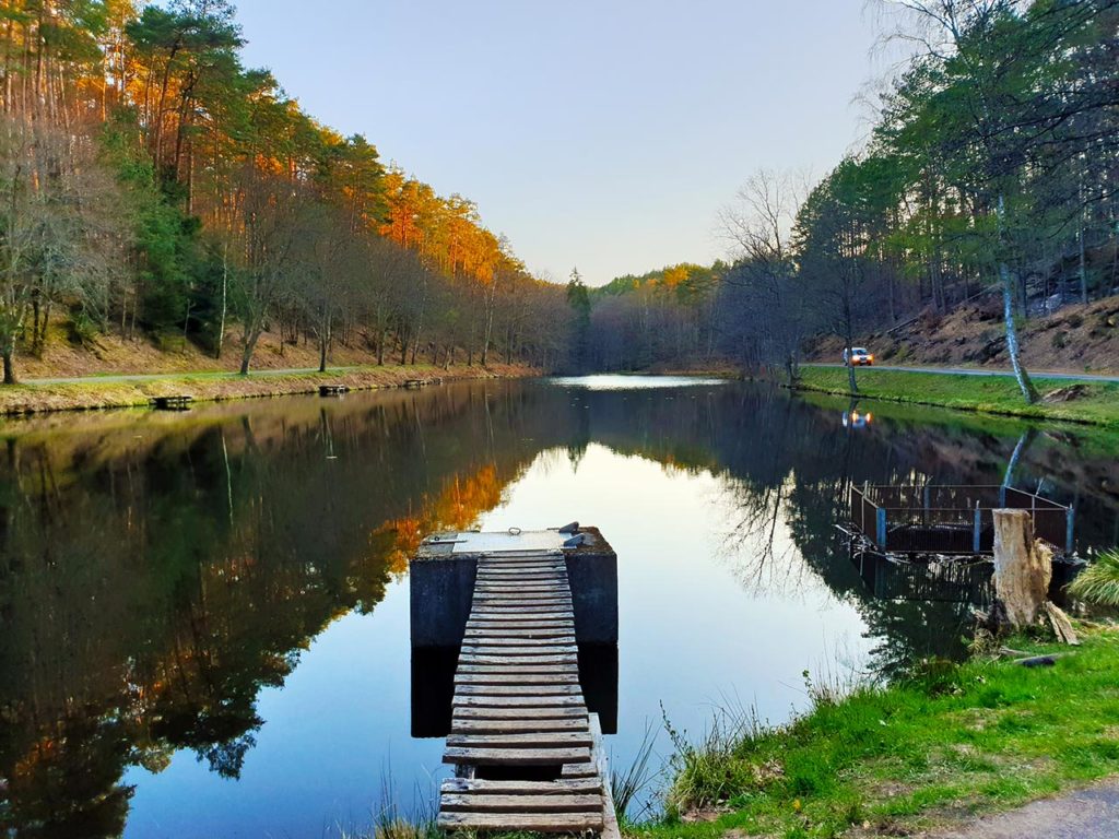 Der Stüdenbachweiher bei Eppenbrunn im Pfälzerwald