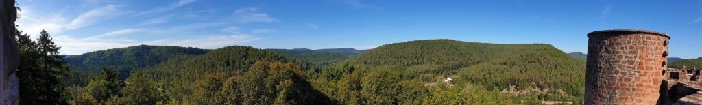 Burg Neudahn mit Panoramablick über den Pfälzerwald