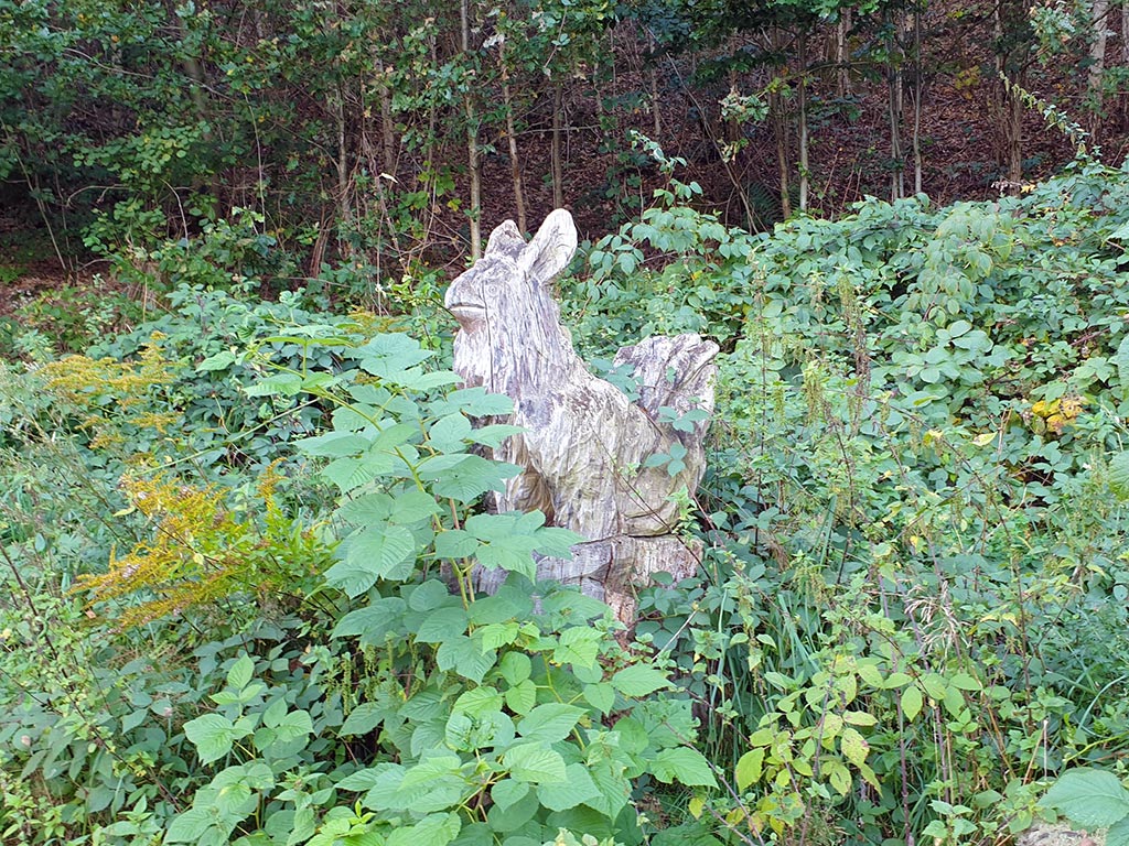 Seltener Schnappschuss einer Elwetritsch bei Dahn in der Pfalz