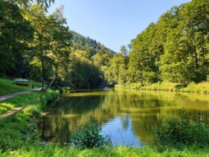 Der Hilschweiher bei Edenkoben im Pfälzerwald