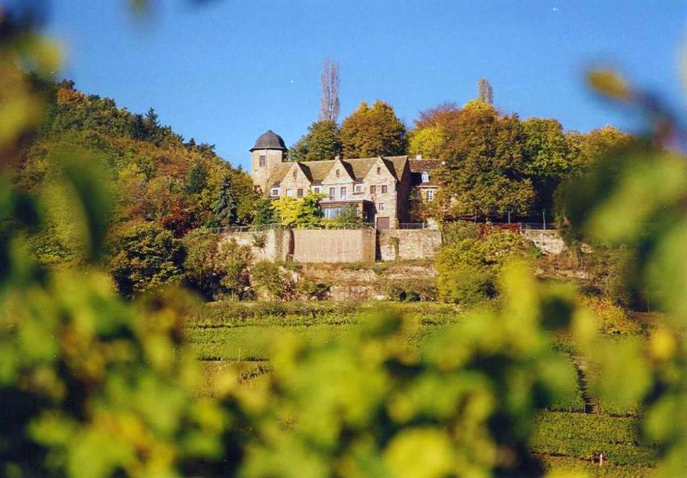 Hochzeits-, Eventlocation Schloss Kropsburg in Sankt Martin an der Südlichen Weinstraße