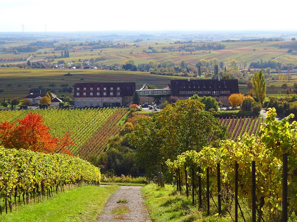 Hotel Leinsweiler Hof in Leinsweiler in der Südpfalz