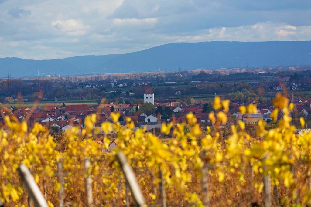 Niederkirchen bei Deidesheim in der Vorderpfalz