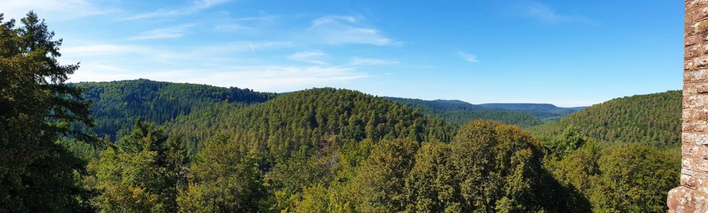 Panoramablick Burg Neudahn im Pfälzerwald
