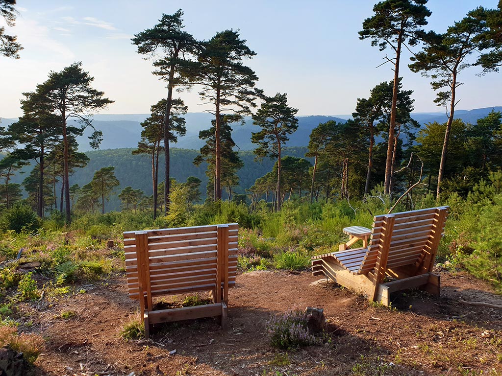 Wellenliegen in der Heidelandschaft auf dem Pfälzer Hüttensteig bei Lambrecht