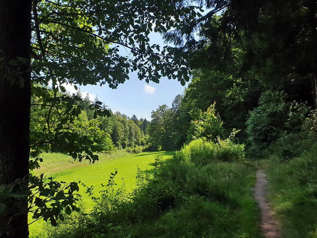 Im Biosphärenreservat Pfälzerwald-Nordvogesen - hier bei Nothweiler