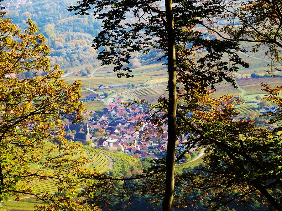 Birkweiler an der Südlichen Weinstraße