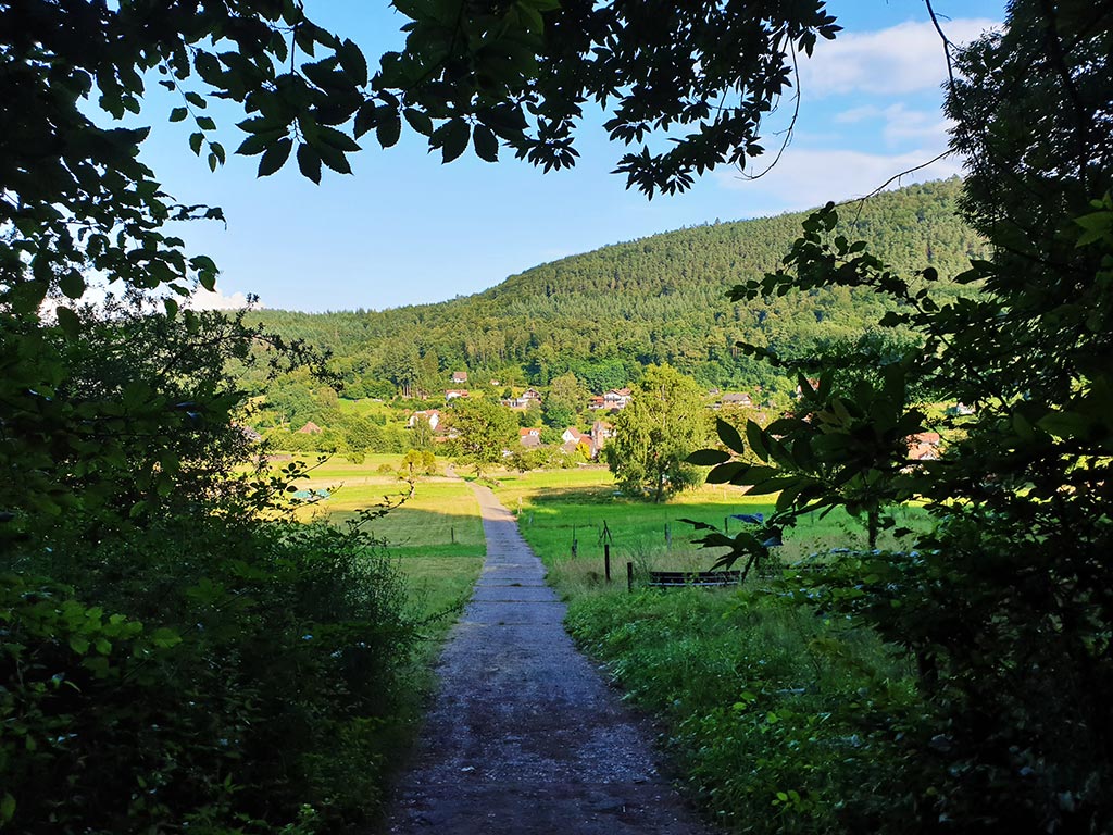 Nothweiler in der Pfalz