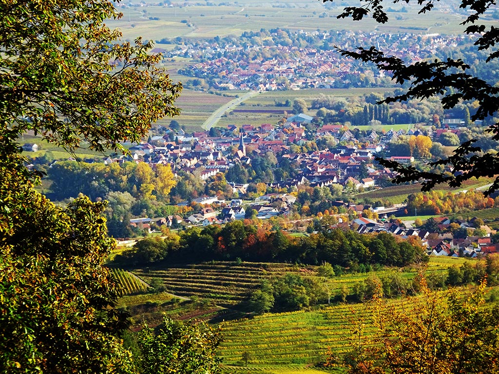 Siebeldingen in der Südpfalz