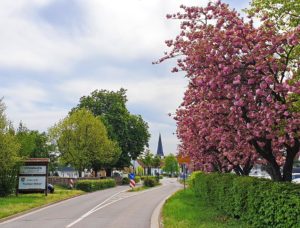 Venningen in der Pfalz