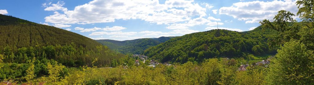 Panorama Lindenberg im Pfälzerwald