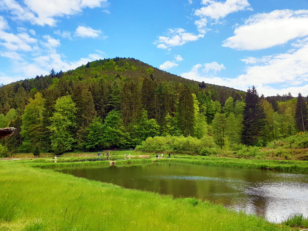 Eußerthal in der Pfalz ein Idyll im Pfälzerwald