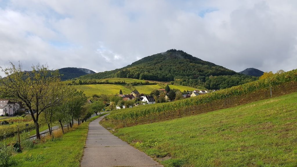 Leinsweiler Pfalz