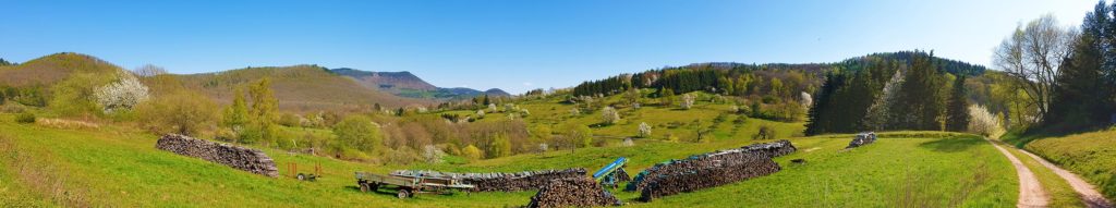 Panorama Eußerthal im Pfälzerwald