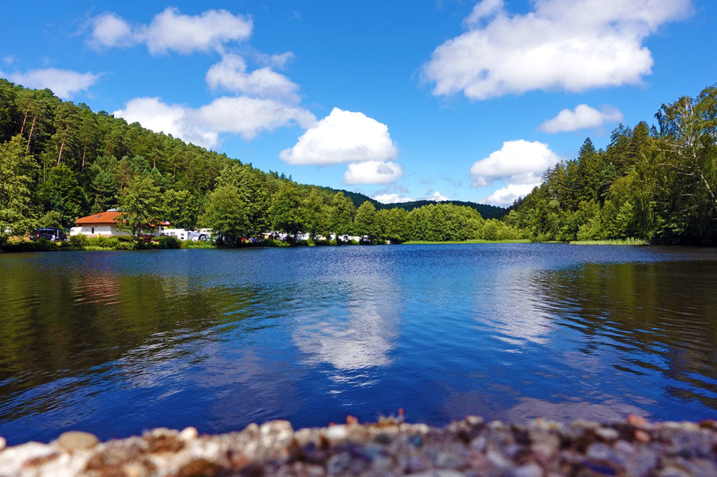 Der Sägmühlweiher bei Trippstadt im Pfälzerwald