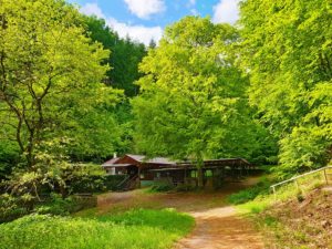 Die Siebeldinger Hütte / Geldmünzhütte im Pfälzerwald