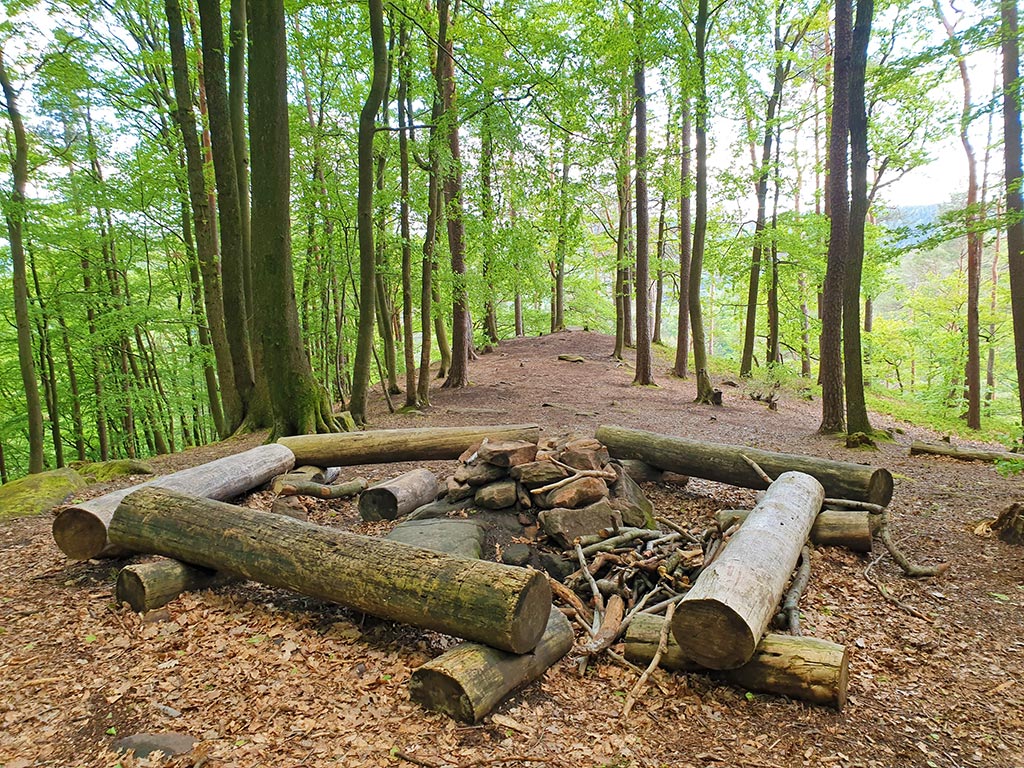 Trekkingplatz 5 bei Eußerthal im Pfälzerwald