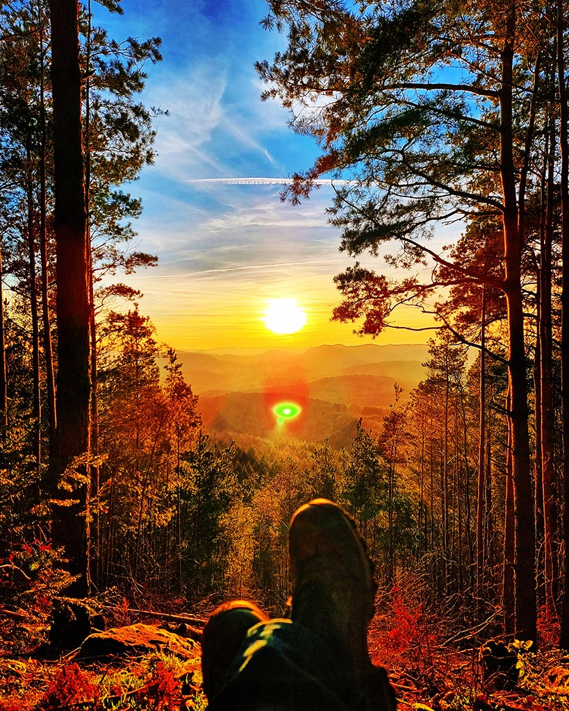 Aussichtspunkt bei Annweiler-Bindersbach im Pfälzerwald