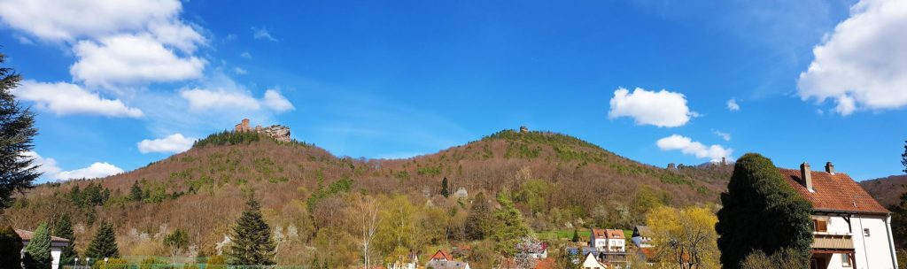 Bindersbach mit der Trifelsgruppe Reichsburg Trifels und Burgruinen Anebos und Scharfenberg / Münz