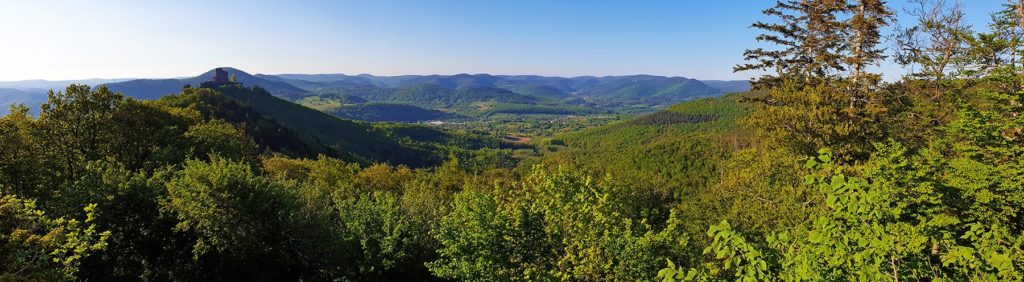 Burg Trifels über Annweiler - Blick von Burg Scharfenberg / Münz im Pfälzerwald