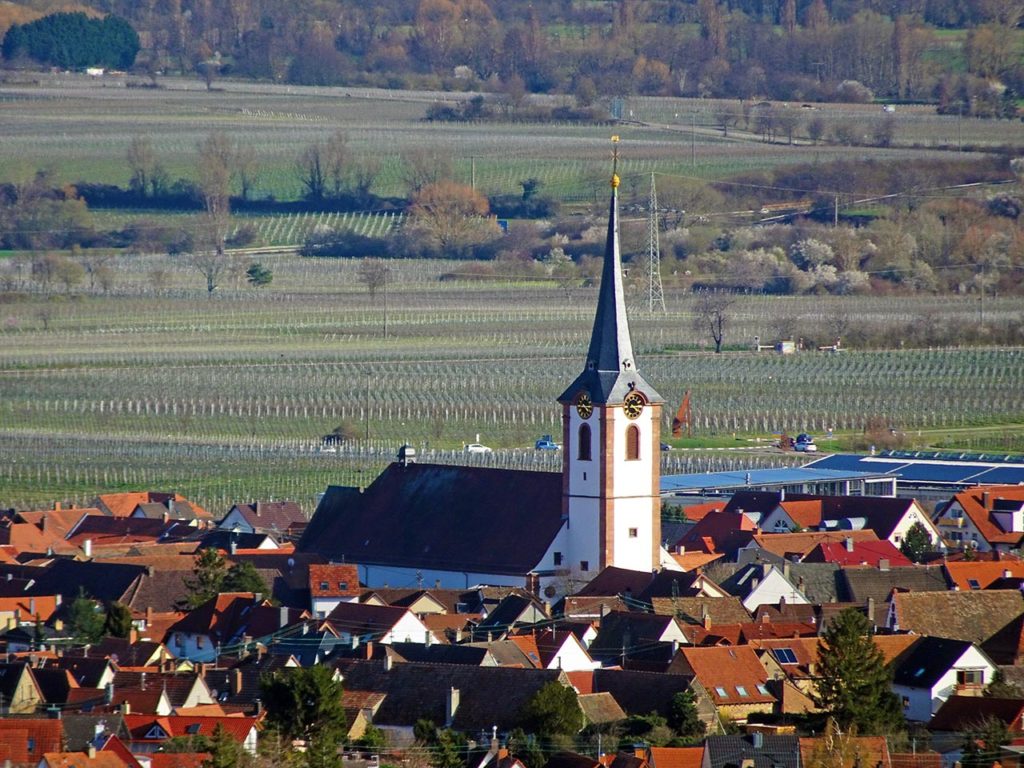 Katholische Pfarrrkirche St. Kosmas und Damian in Maikammer in der Südpfalz