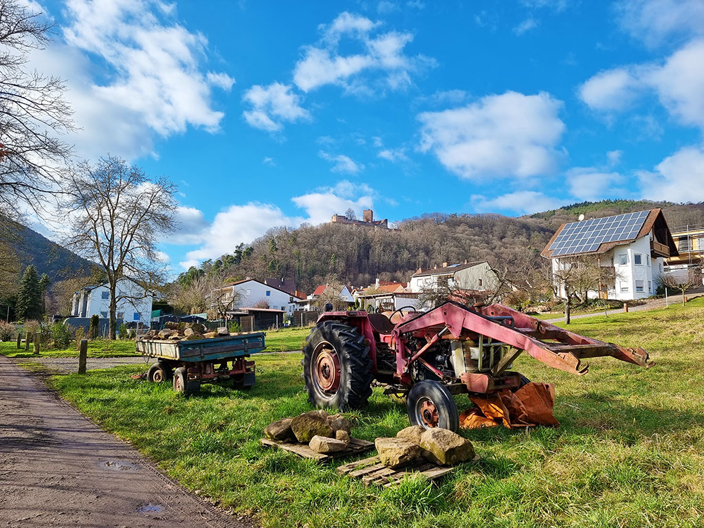 Klingenmünster mit Burg Landeck in der Südpfalz
