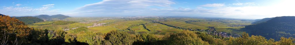 Panoramablick Burg Neukastel über Leinsweiler in der Pfalz