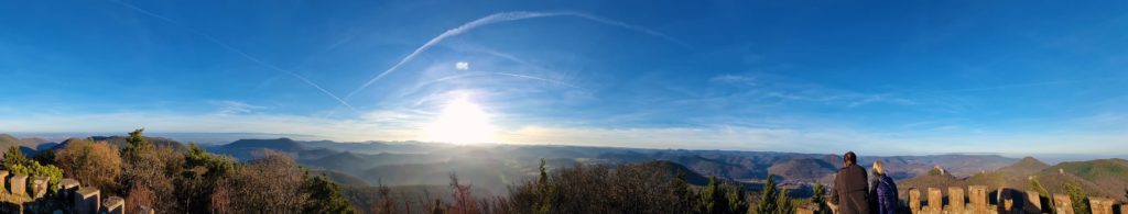 Panoramablick Rehbergturm im Pfälzerwald